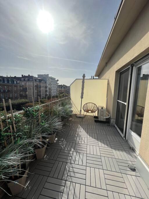 Appartement Cosy Orangerie 斯特拉斯堡 外观 照片