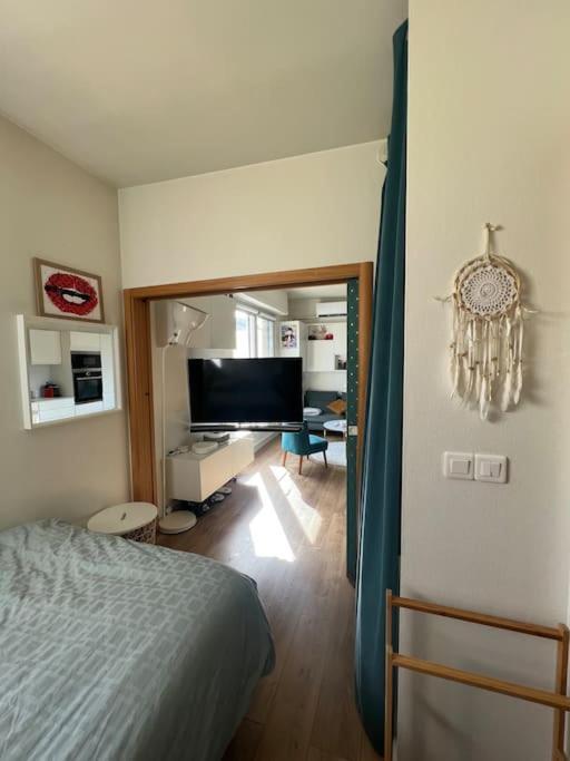 Appartement Cosy Orangerie 斯特拉斯堡 外观 照片